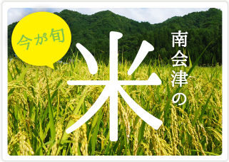 南会津の米